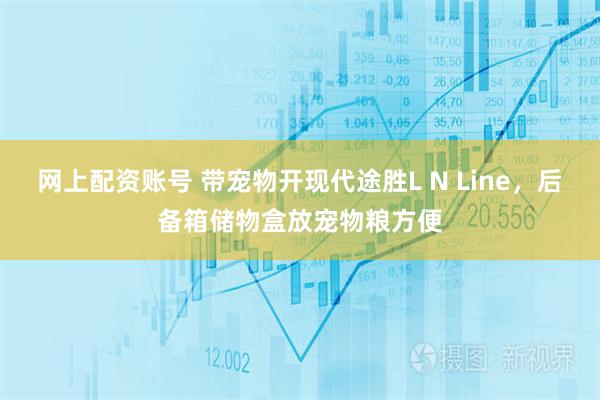 网上配资账号 带宠物开现代途胜L N Line，后备箱储物盒放宠物粮方便