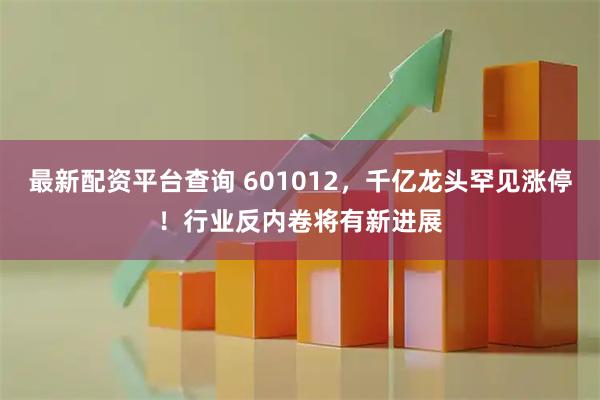 最新配资平台查询 601012，千亿龙头罕见涨停！行业反内卷将有新进展