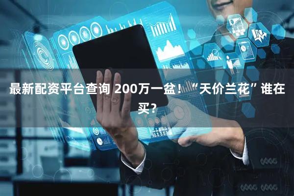 最新配资平台查询 200万一盆！“天价兰花”谁在买？