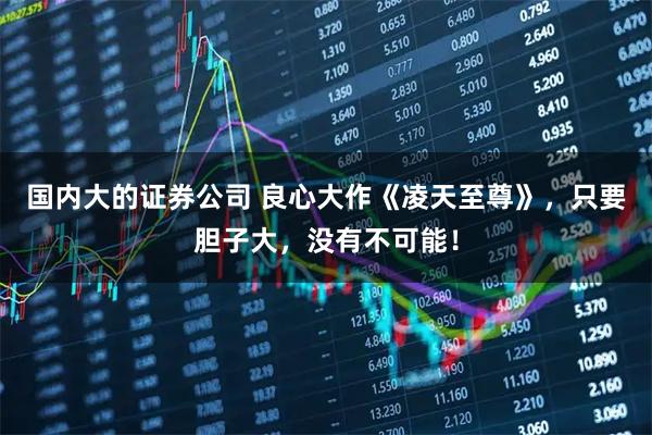 国内大的证券公司 良心大作《凌天至尊》，只要胆子大，没有不可能！